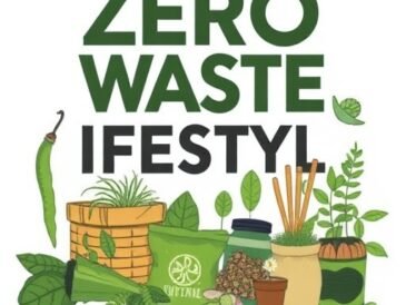 zero waste lifestyle